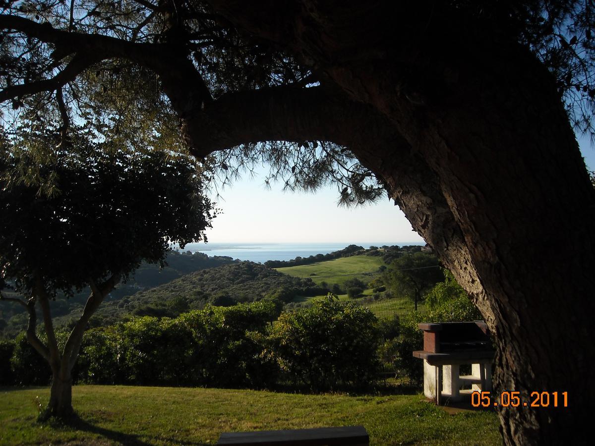 Bed & Breakfast La Volpe E L'Uva Santa Marinella Εξωτερικό φωτογραφία